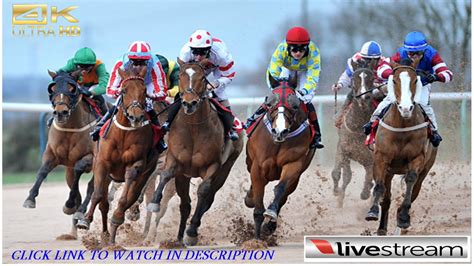 <strong>Live streaming racing</strong> video is only available during scheduled races time. . Live stream thistledown